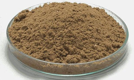 Fish Meal